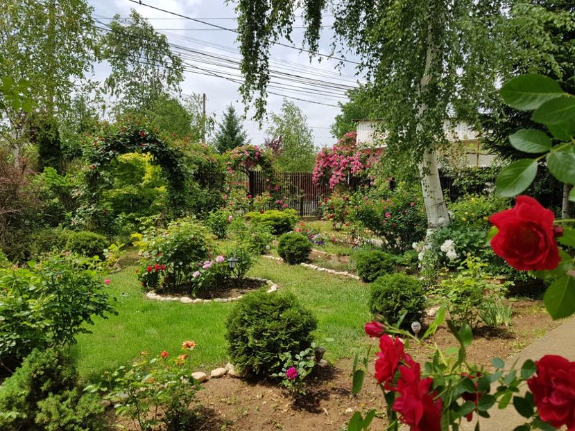  - 2020_Roze_Gradina Rozelor