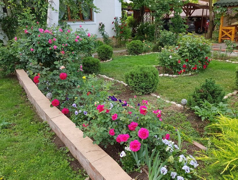  - 2020_Roze_Gradina Rozelor