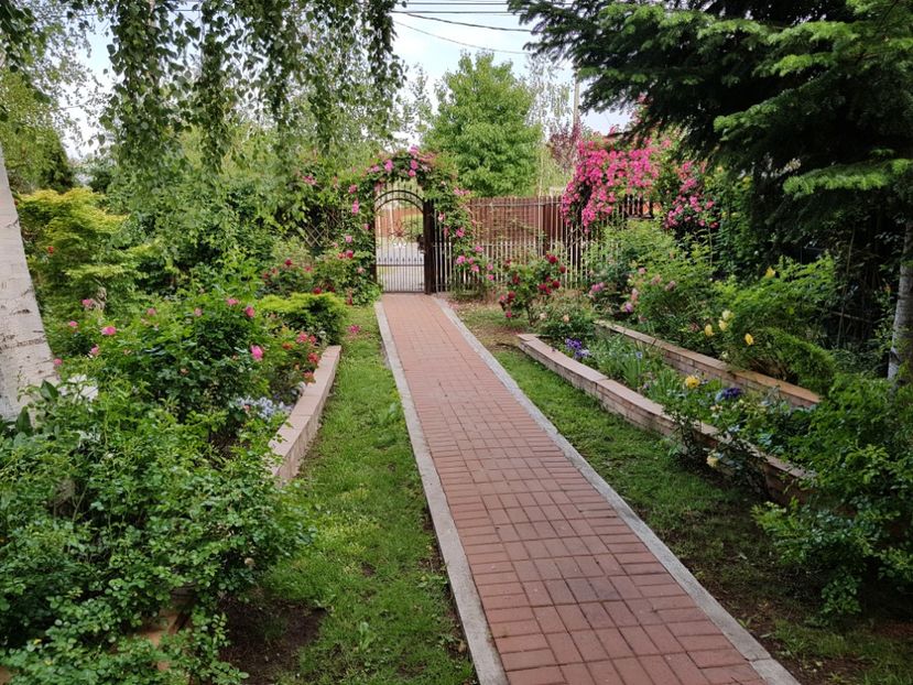  - 2020_Roze_Gradina Rozelor
