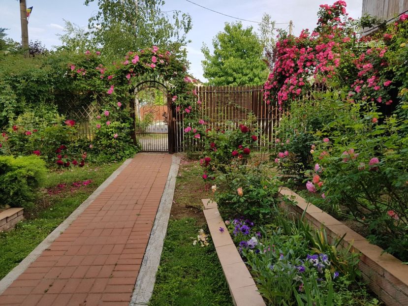  - 2020_Roze_Gradina Rozelor