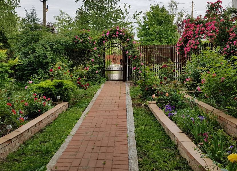  - 2020_Roze_Gradina Rozelor