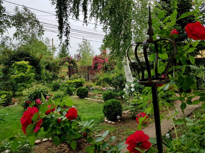  - 2020_Roze_Gradina Rozelor