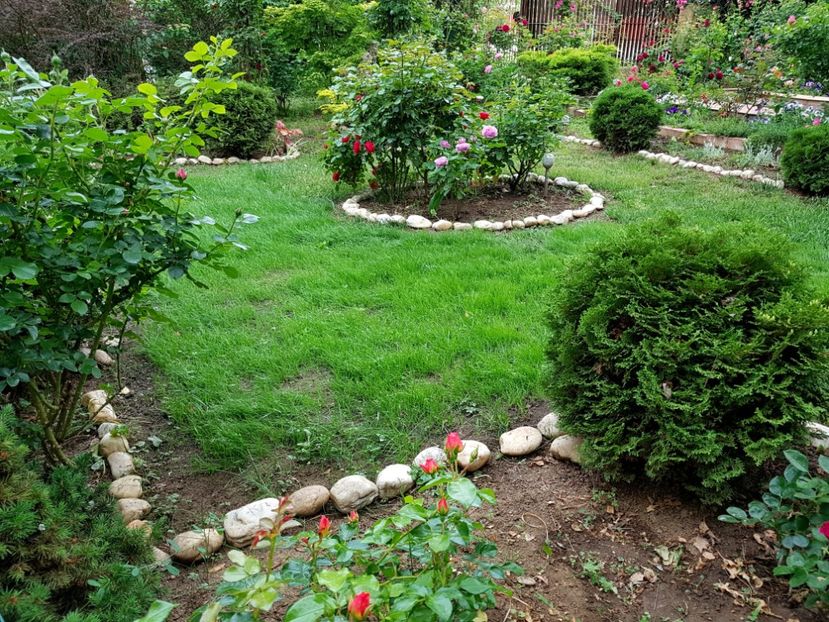  - 2020_Roze_Gradina Rozelor