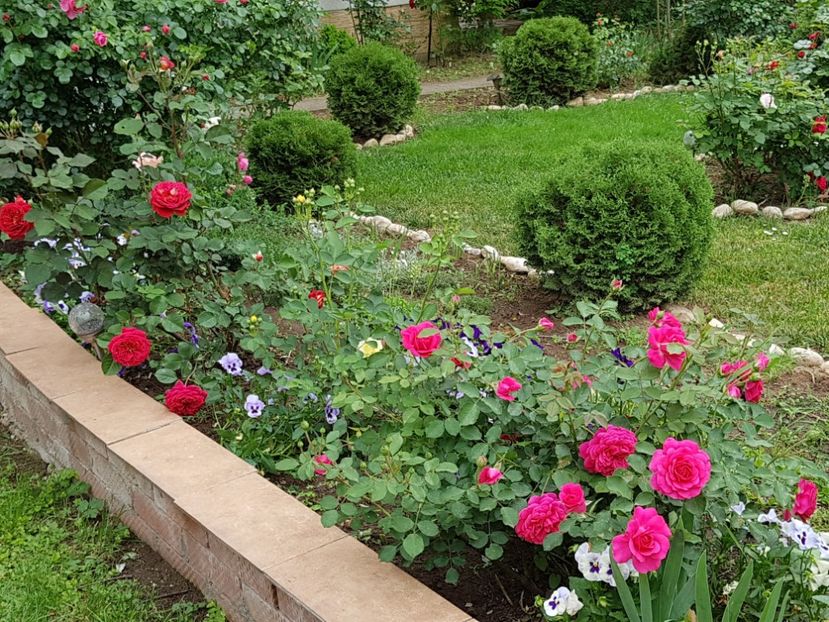  - 2020_Roze_Gradina Rozelor