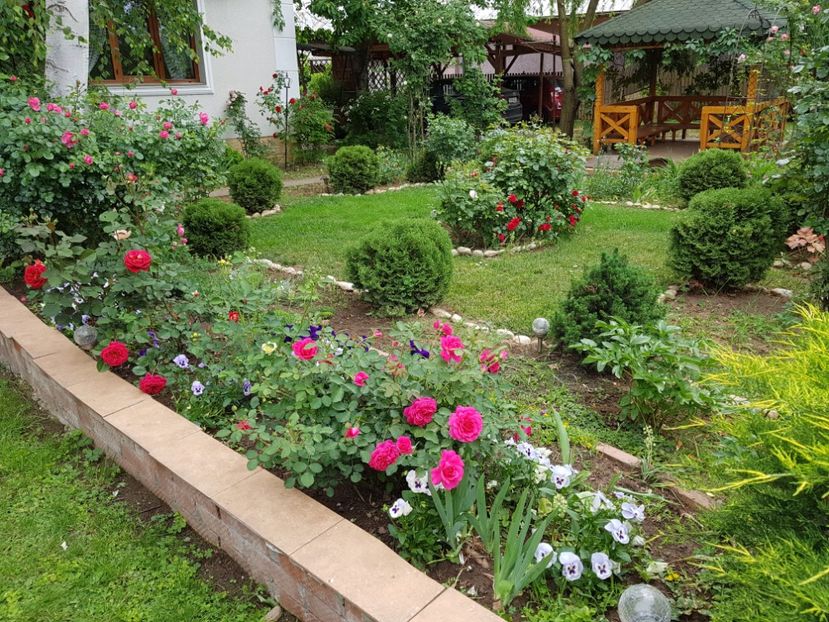  - 2020_Roze_Gradina Rozelor