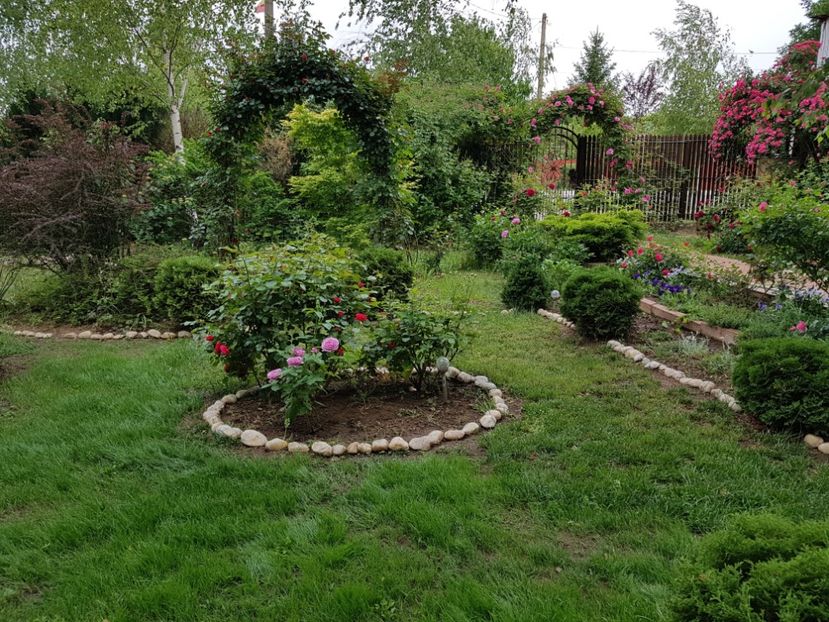  - 2020_Roze_Gradina Rozelor