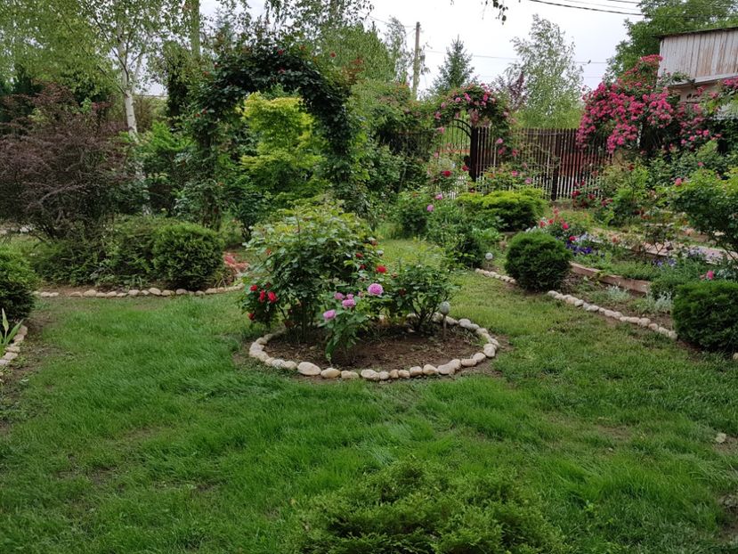 - 2020_Roze_Gradina Rozelor