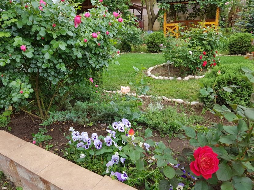  - 2020_Roze_Gradina Rozelor