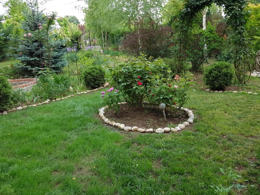 - 2020_Roze_Gradina Rozelor