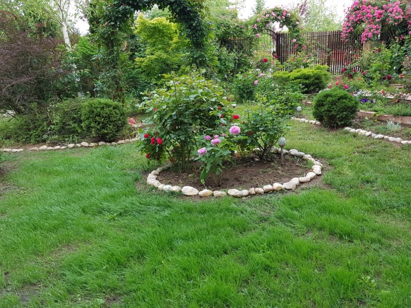  - 2020_Roze_Gradina Rozelor