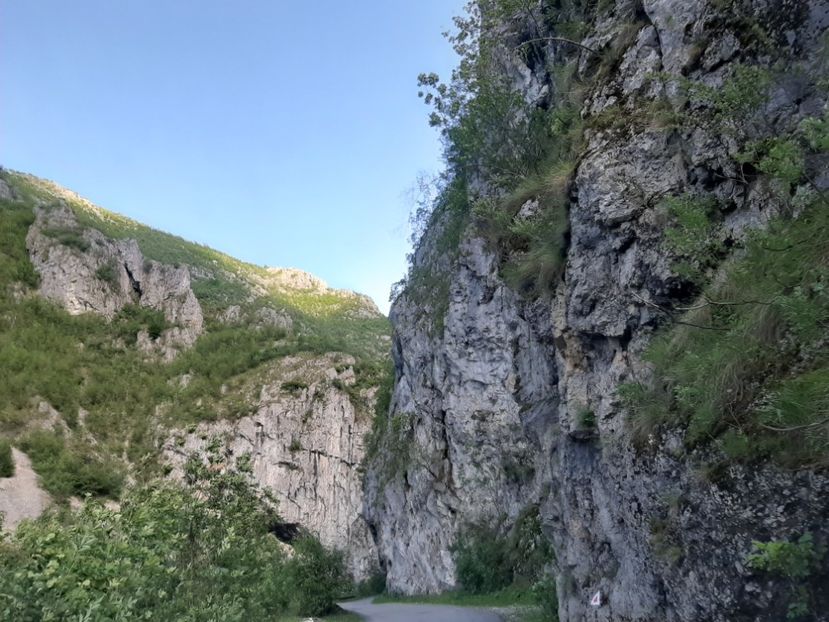  - Cheile Sohodolului mai 2020