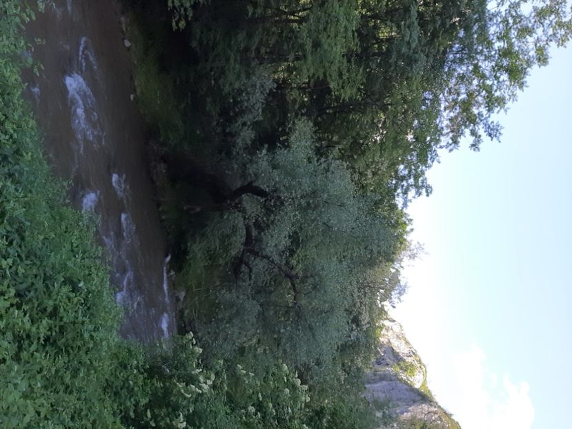  - Cheile Sohodolului mai 2020