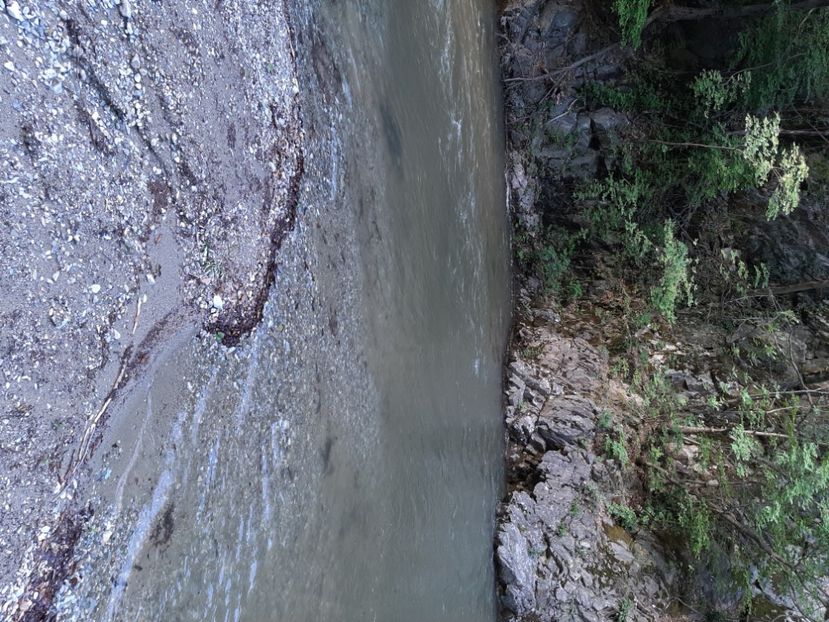  - Cheile Sohodolului mai 2020