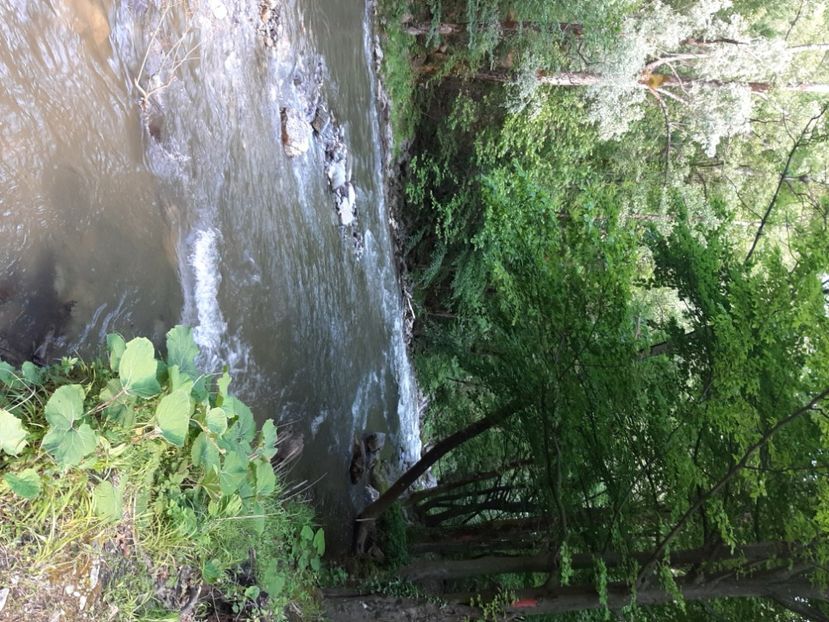  - Cheile Sohodolului mai 2020