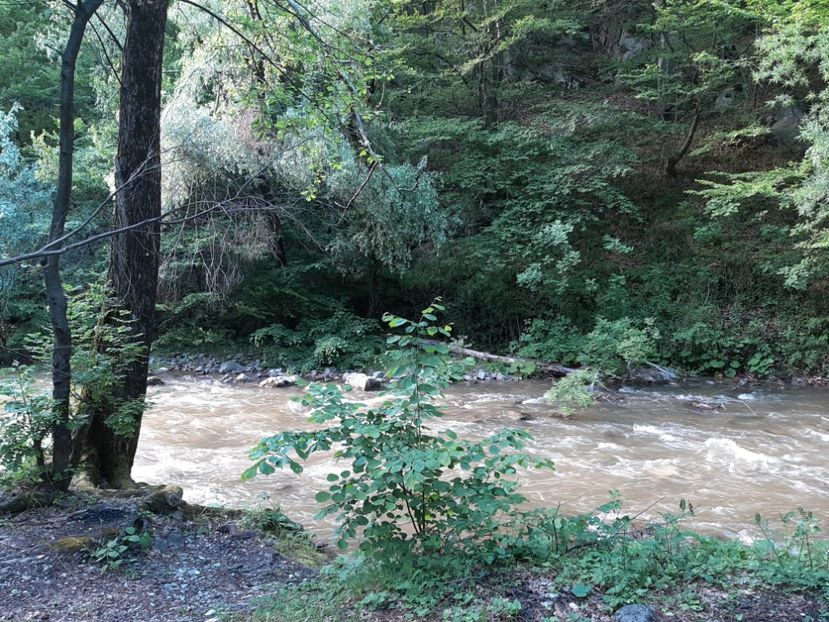  - Cheile Sohodolului mai 2020