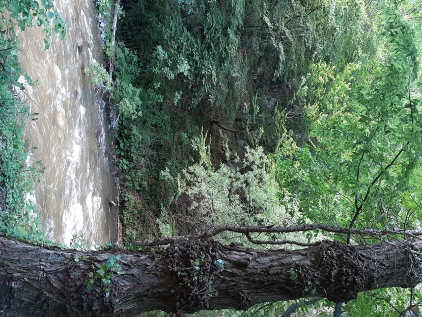  - Cheile Sohodolului mai 2020