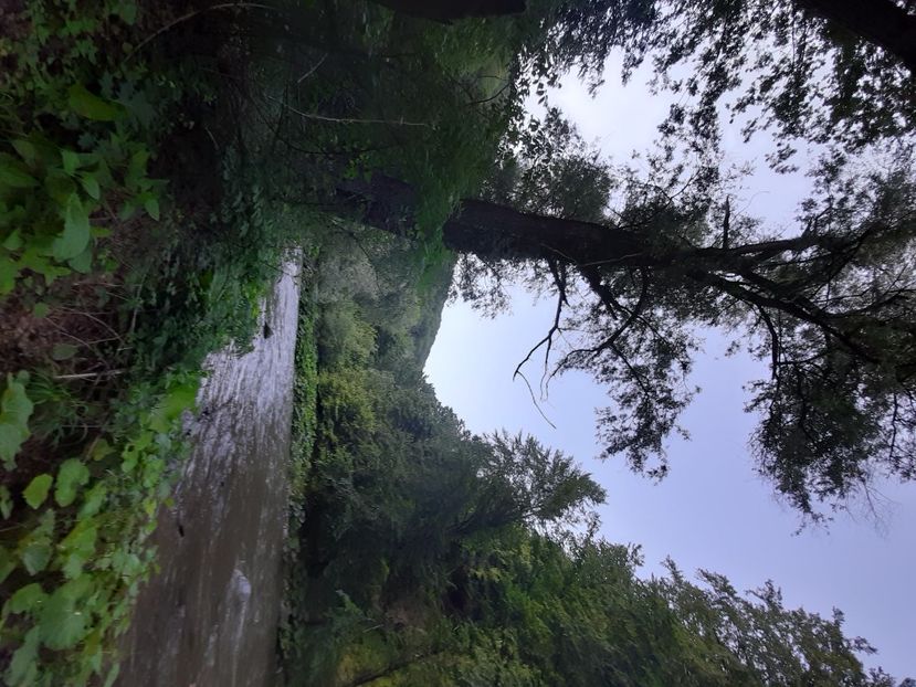  - Cheile Sohodolului mai 2020