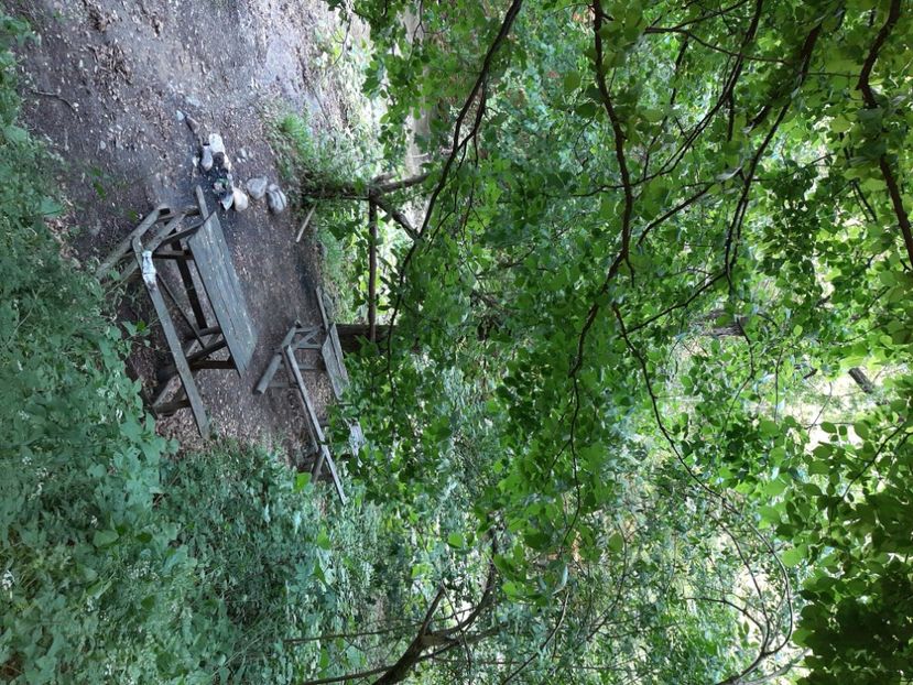  - Cheile Sohodolului mai 2020