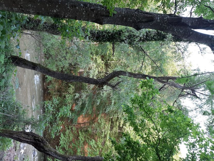  - Cheile Sohodolului mai 2020