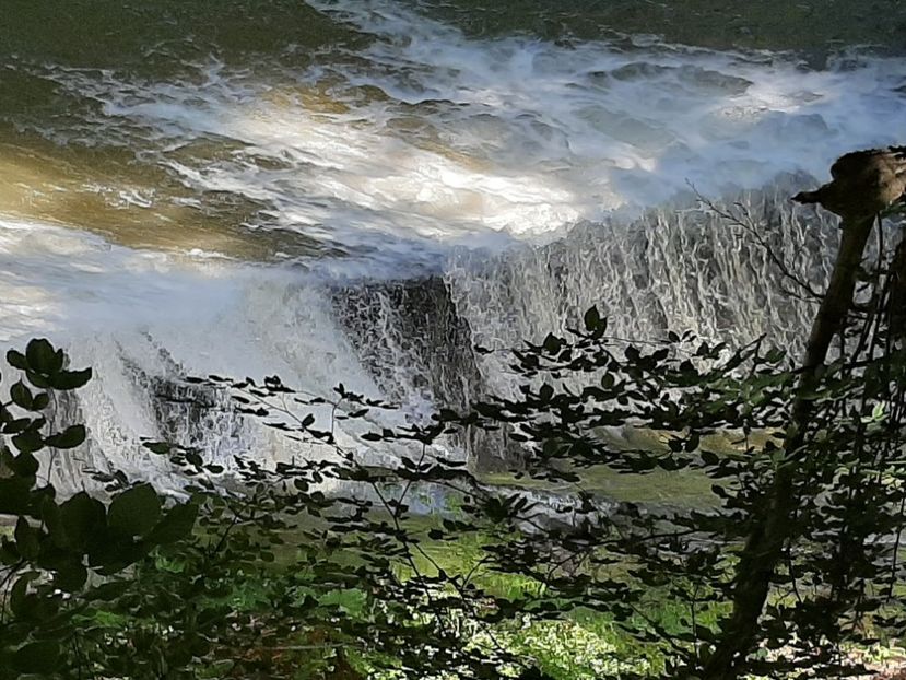  - Cheile Sohodolului mai 2020