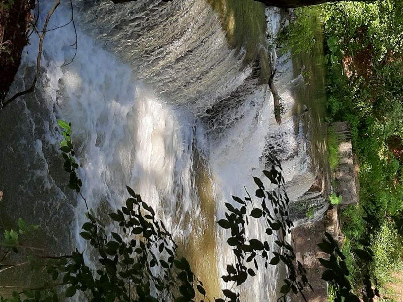  - Cheile Sohodolului mai 2020