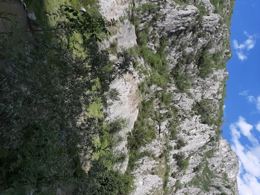  - Cheile Sohodolului mai 2020