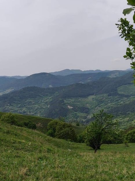  - Cheile Sohodolului mai 2020