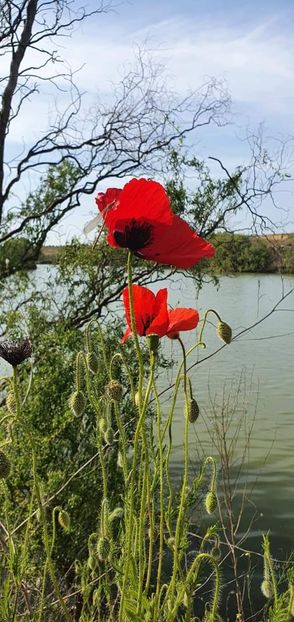  - Cheile Sohodolului mai 2020