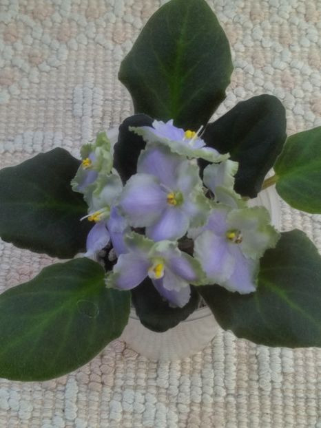 29 apr - LE Bucket Nezabudok