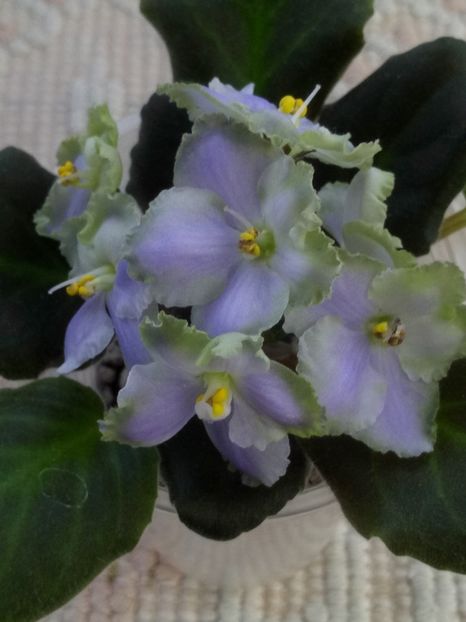 29 apr - LE Bucket Nezabudok