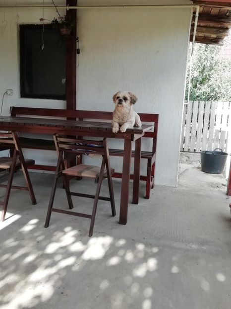 2020-23.05 - Comoara mea