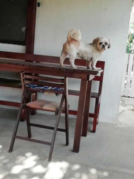 2020-23.05 - Comoara mea