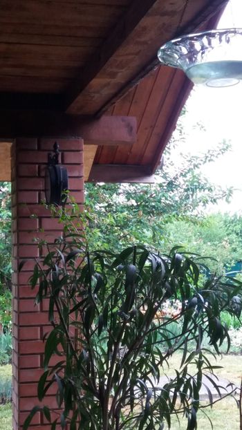 Cand e frig si ploua - Gradina si terasa PrimaLuce_7-Hello 2020
