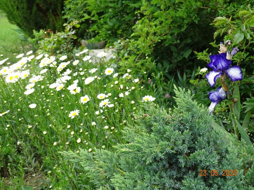 margarete si iris Art Deco - Dobarland 2020 3