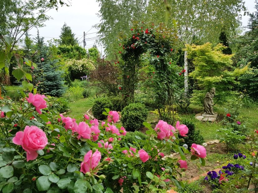  - 2020_Roze_Gradina Rozelor