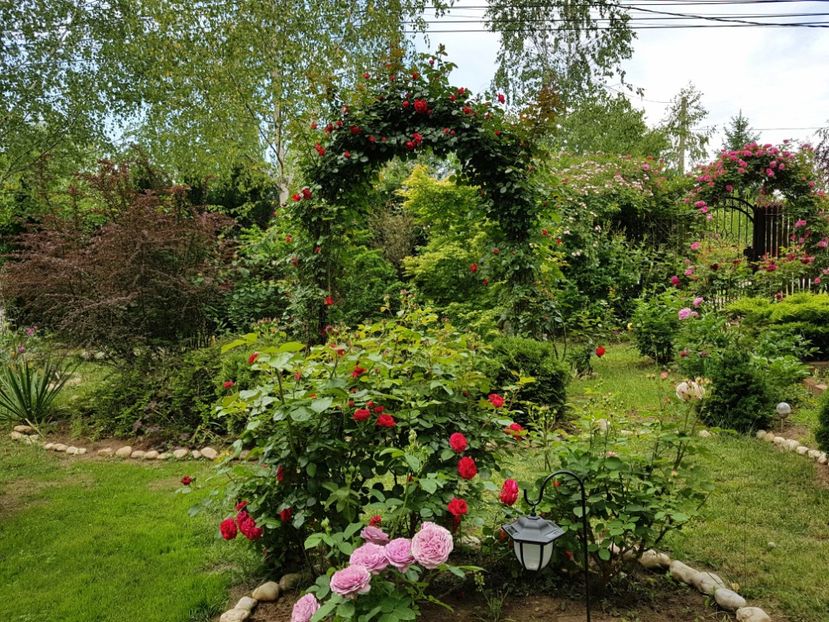  - 2020_Roze_Gradina Rozelor