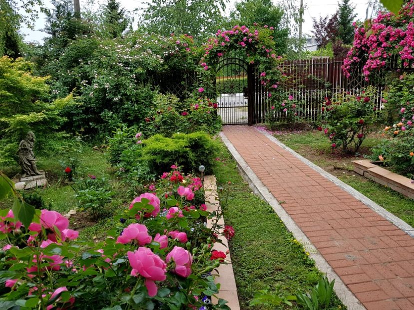  - 2020_Roze_Gradina Rozelor