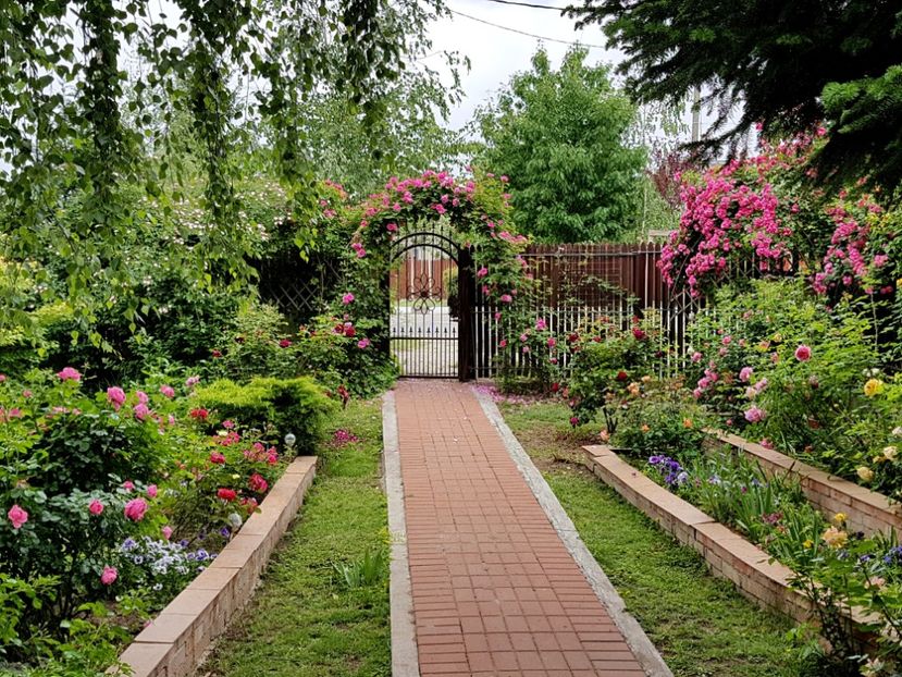  - 2020_Roze_Gradina Rozelor