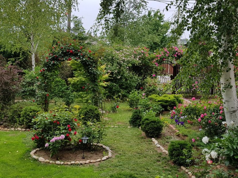  - 2020_Roze_Gradina Rozelor
