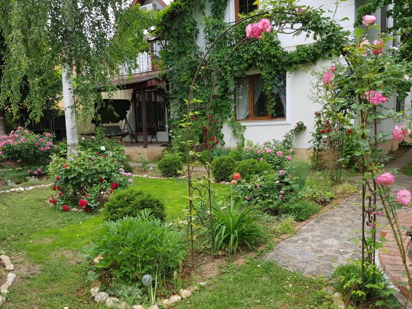  - 2020_Roze_Gradina Rozelor