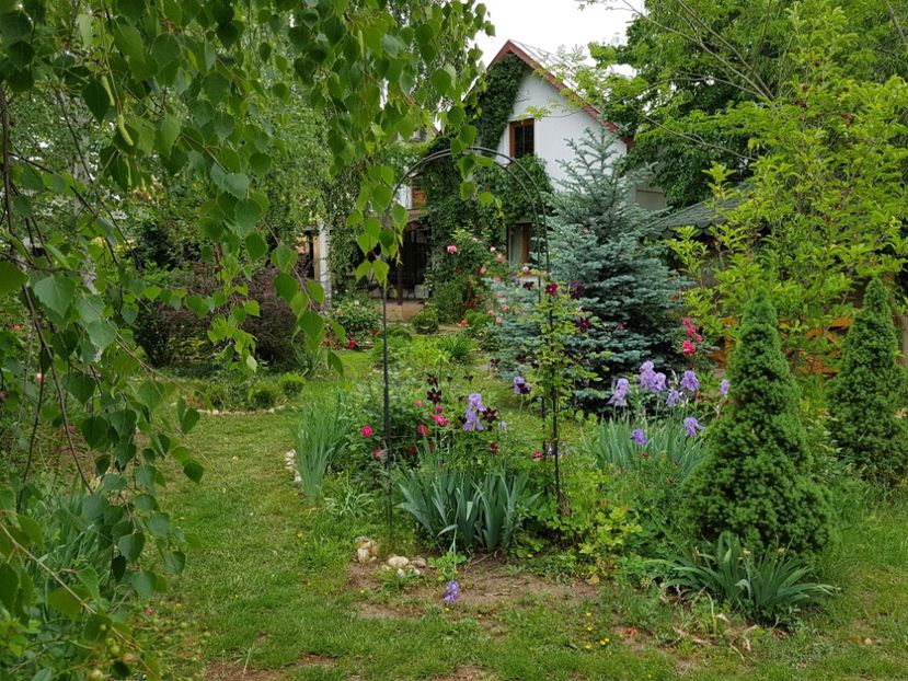  - 2020_Roze_Gradina Rozelor