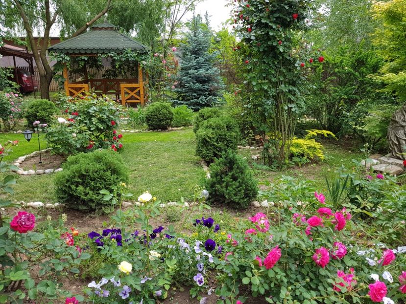  - 2020_Roze_Gradina Rozelor
