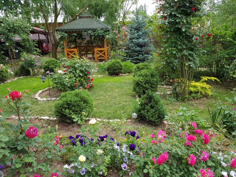  - 2020_Roze_Gradina Rozelor