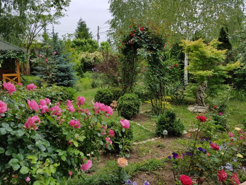  - 2020_Roze_Gradina Rozelor