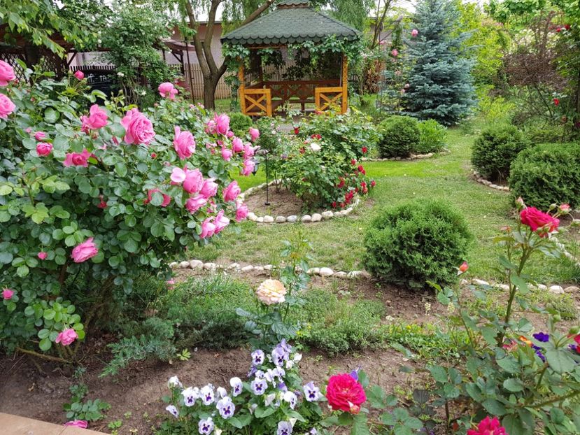  - 2020_Roze_Gradina Rozelor