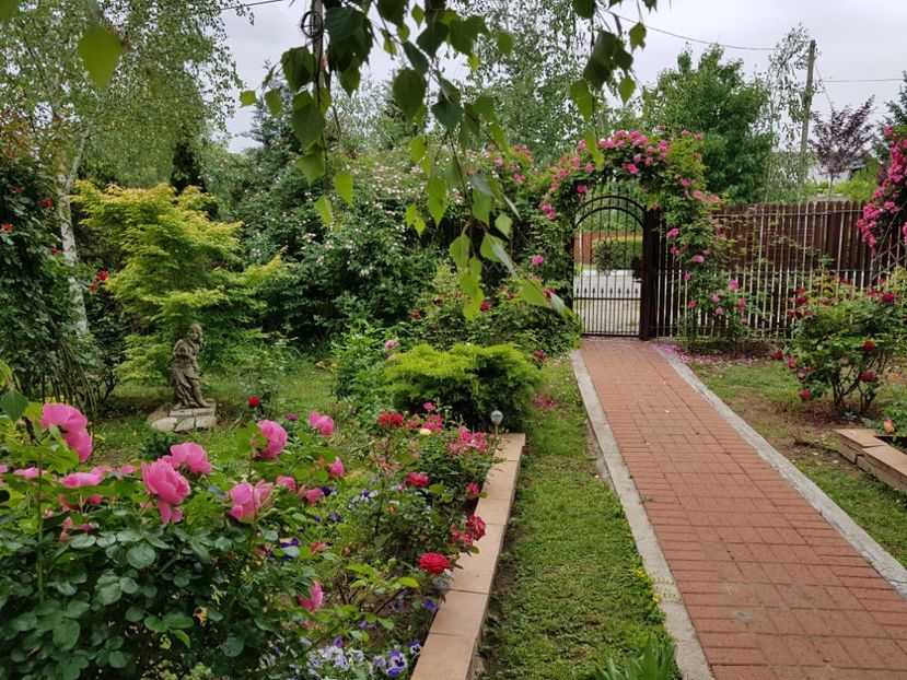  - 2020_Roze_Gradina Rozelor