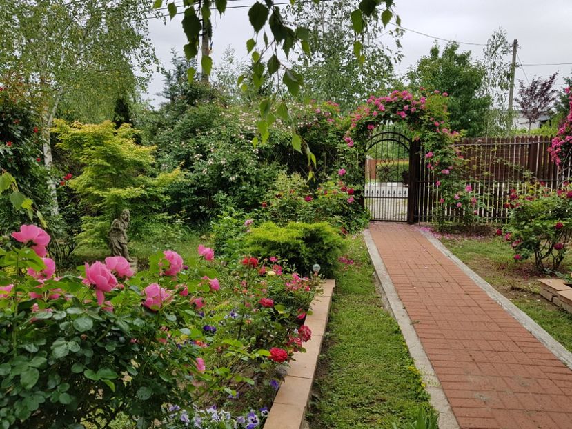  - 2020_Roze_Gradina Rozelor