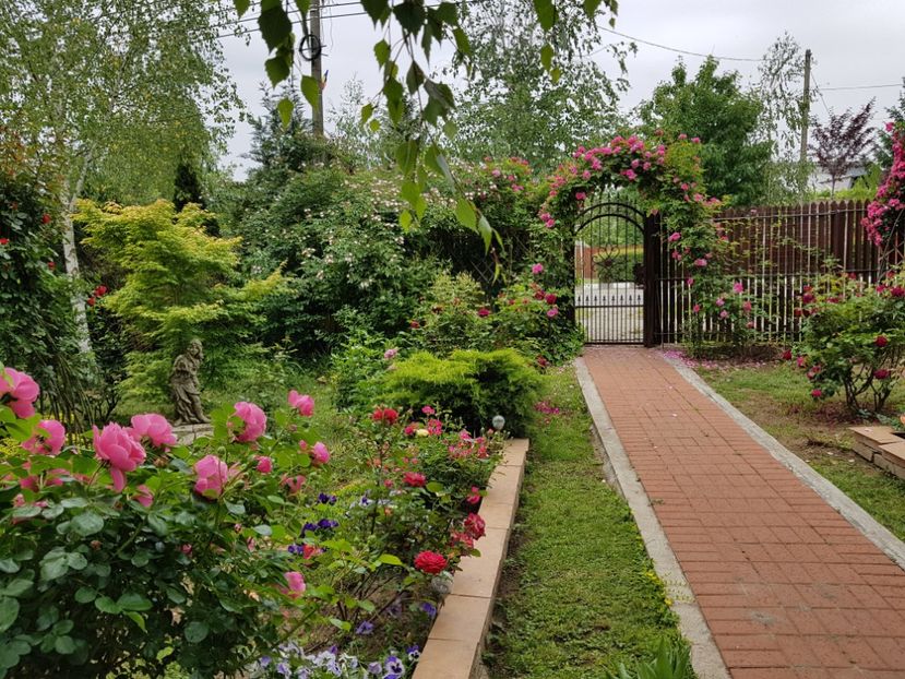  - 2020_Roze_Gradina Rozelor