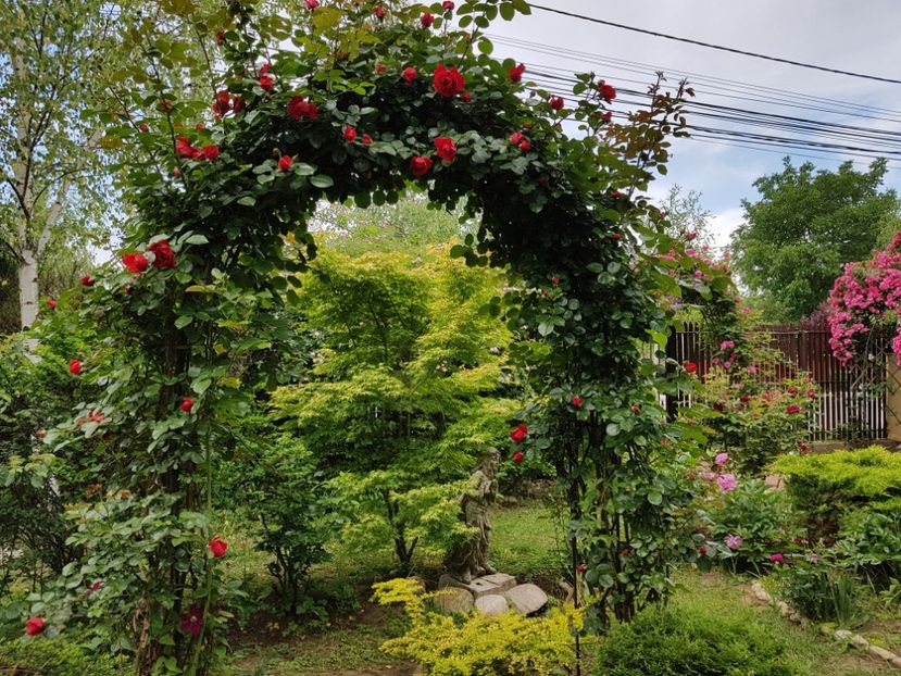  - 2020_Roze_Gradina Rozelor