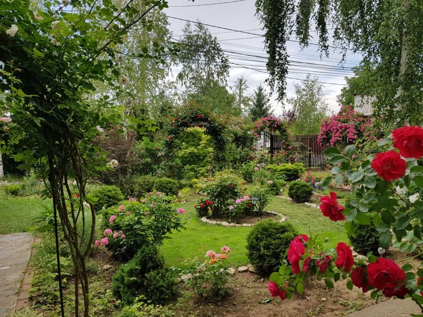  - 2020_Roze_Gradina Rozelor